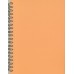 Записная книга В6, 96 листов (серия MICRO)